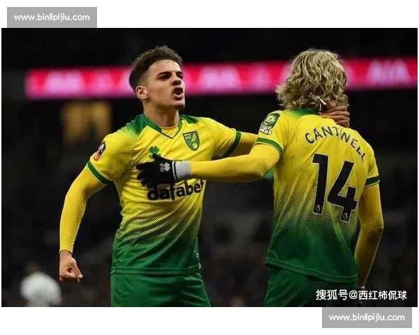 围绕英超网页版构建全球球迷互动与赛事数据服务新生态平台创新发展篇 围绕英超网页版构建全球球迷互动与赛事数据服务新生态平台创新发展篇